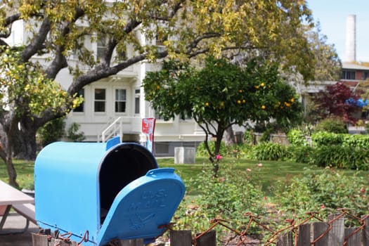 Blue mailbox in quiet neighborhood