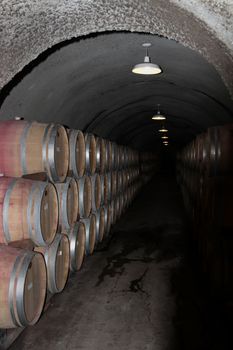 Row of barrels in dark basement