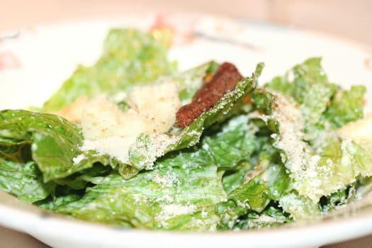 Plate with fresh ceasar salad