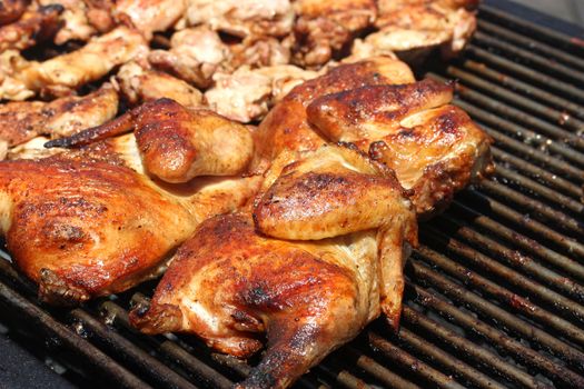 Juicy Chicken on Barbeque Grill
