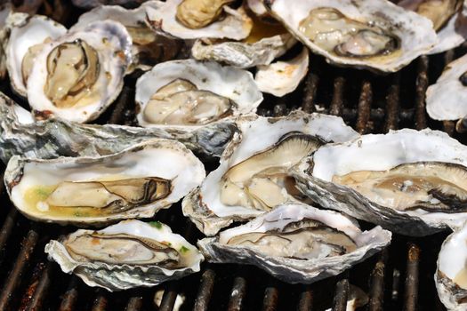 Oysters on the Grill