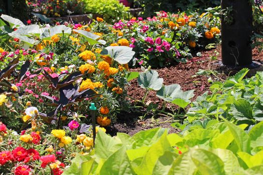 Flowers and vegetables garden