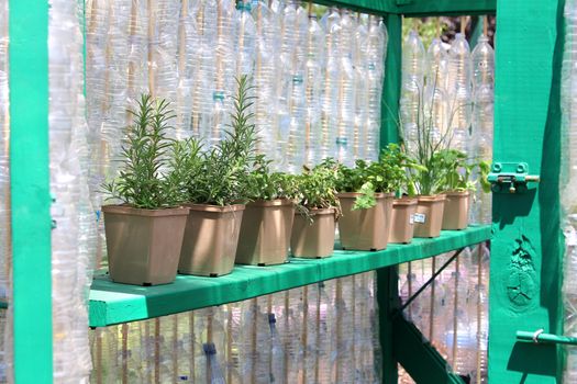 Small greenhouse made out of recycled bottles