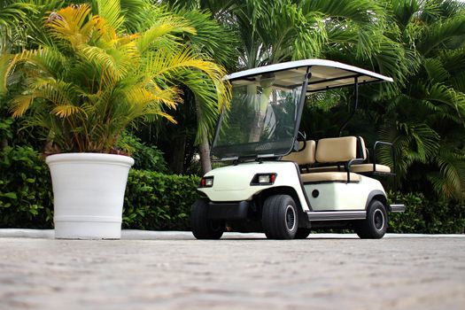 Golf cart at the tropical resort