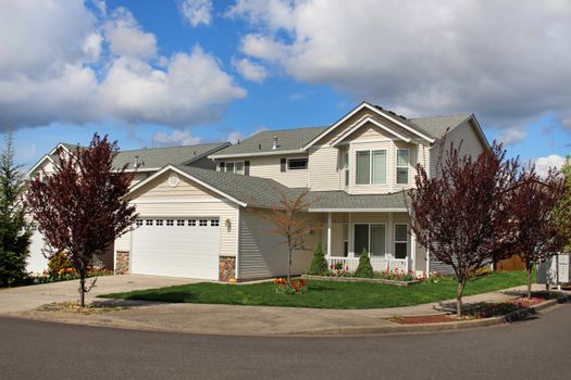 Houses in suburban neighborhood