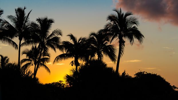 Sanibel Island Sunrise, Florida, USA, Color Image