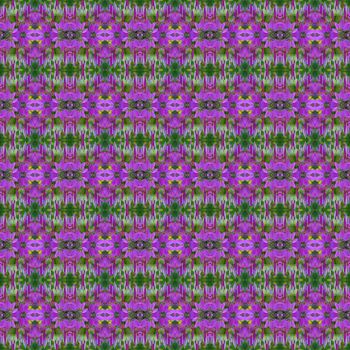 Violet spider flower or Cleome hassleriana plant seamless use as pattern and wallpaper.