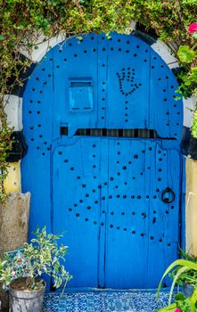 Old Blue door with arch from Sidi Bou Said and flowers