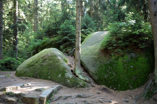 Large granitic rocks in the Fichtel Mountains in Southern Germany.