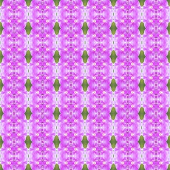 Pink orchid flower and green background seamless use as pattern and wallpaper.