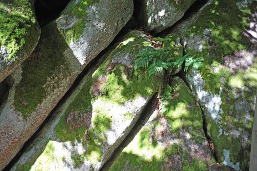 Large granitic rocks in the Fichtel Mountains in Southern Germany.