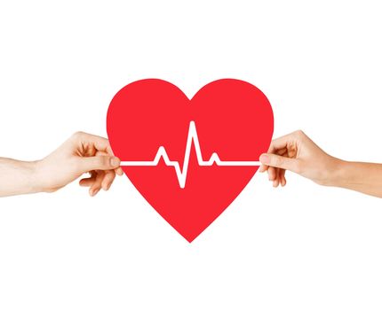 health, medicine and charity concept - closeup of couple hands holding red heart with ecg line