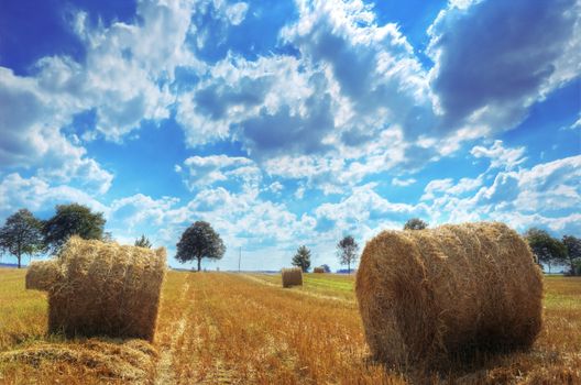 Field and sky. Sheaves in the field. HDR picture.