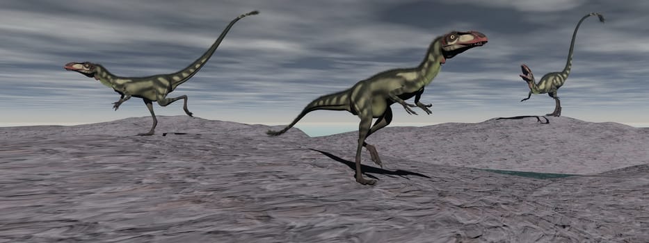 three dilong dinosaur on hills grey