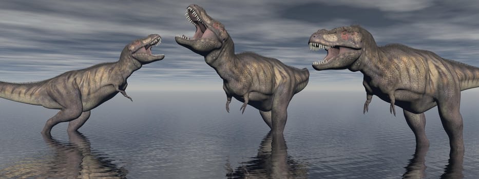 three tyrannosaure dinosaur in the lake