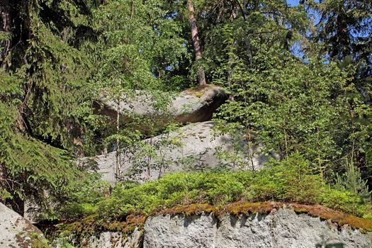 Large granitic rocks in the Fichtel Mountains in Southern Germany.