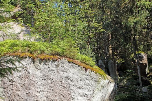 Large granitic rocks in the Fichtel Mountains in Southern Germany.