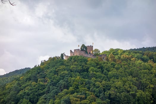 Castle / ruin at the Weinstrasse, Germany