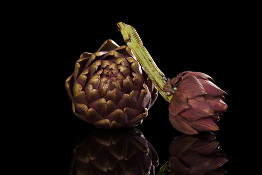 Fresh artichoke isoalted on black background. Healthy culinary vegetable eating. 