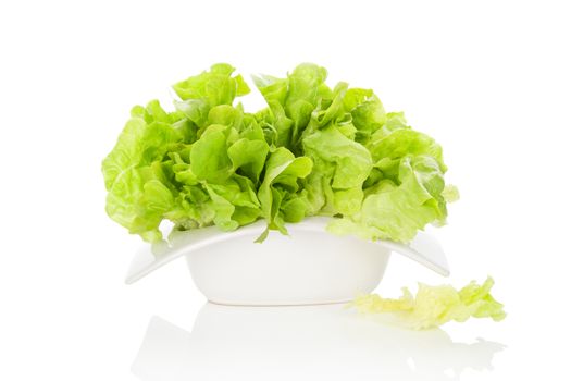 Fresh green salad in white bowl isolated on white background. Fresh healthy summer eating. Culinary arts.