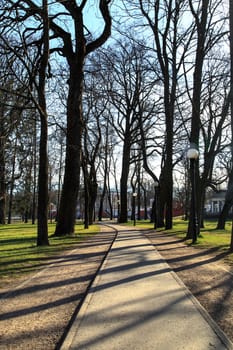 Front view of long pathway in meadow among trees in Kadriorg Park in Tallinn, Estonia.