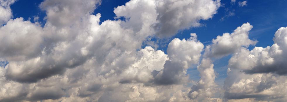 Abstract shot of the floating clouds