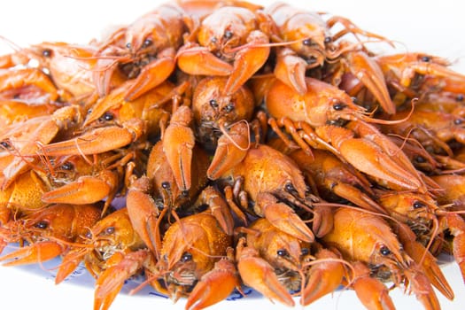 Photo of red boiled crawfishes on the dish
