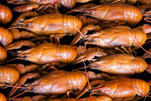 Photo of background with red boiled crawfishes