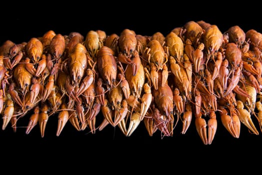 Photo of background with red boiled crawfishes
