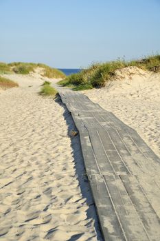 Path to the Beach