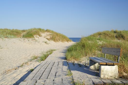 Path to the Beach