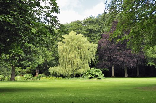 Neatly trimmed lawn