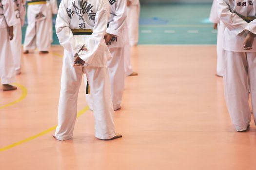 group of athletes of taekwondo