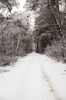   the small road photographed in a winter season