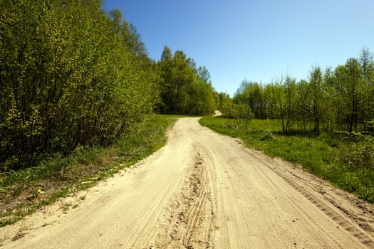   the road is not covered with asphalt, taking place in the forest.