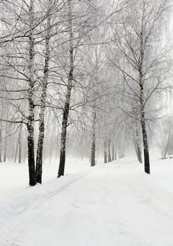   the small road photographed in a winter season