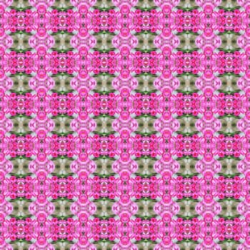 Antigonon leptopus or Mexican creeper seamless use as pattern and wallpaper.