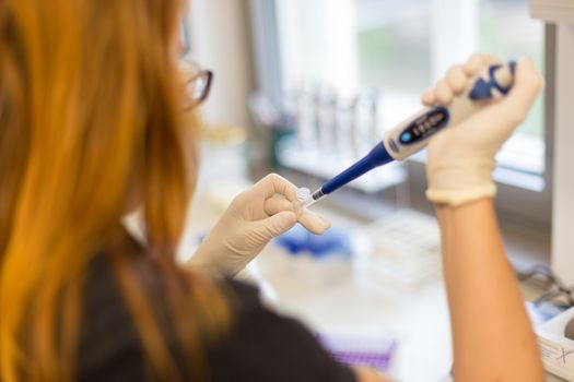 Focused PhD student pipetting transparent solution into small plastic tubes in life science laboratory.