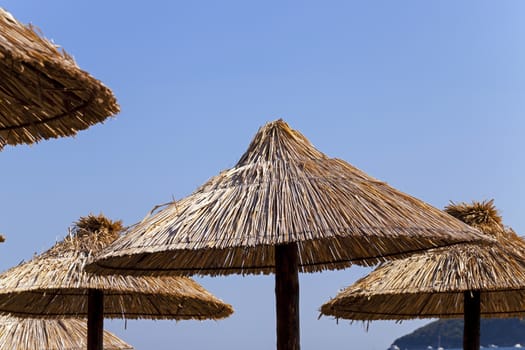  the photographed wooden umbrellas located in the territory of a beach