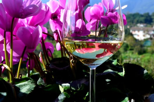 flowers and wine