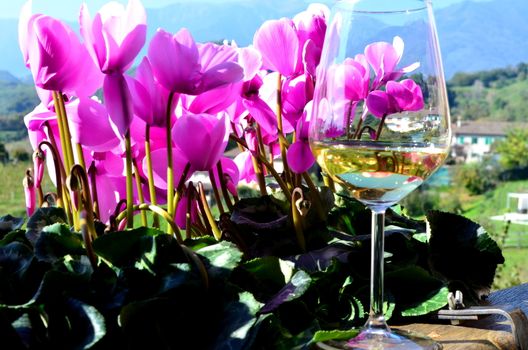 flowers and wine