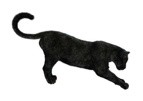 3D digital render of a big cat black panther stretching isolated on white background