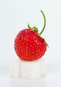 Fresh sweet strawberry on sugar cube