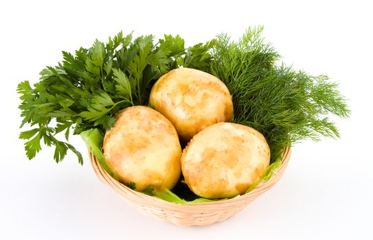 Fresh potatoes and green dill and parsley isolated on white background