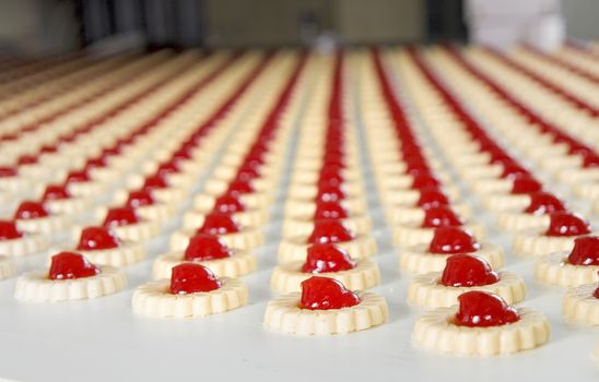 Production of biscuits inside of factory