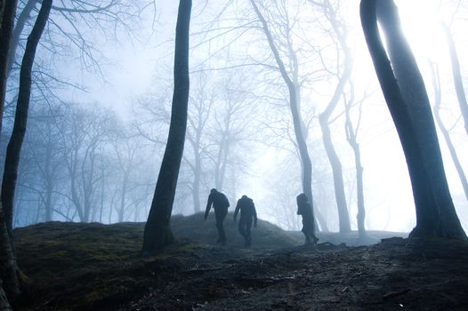 Nature. People in foggy dark forest.