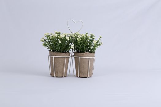 An isolated flower arrangement in a basket