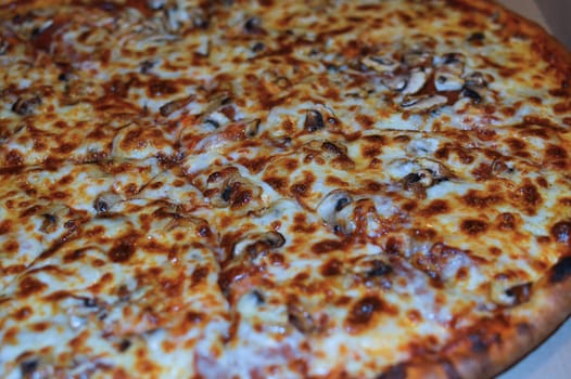 Pizza pepperoni and mushroom fat cheese