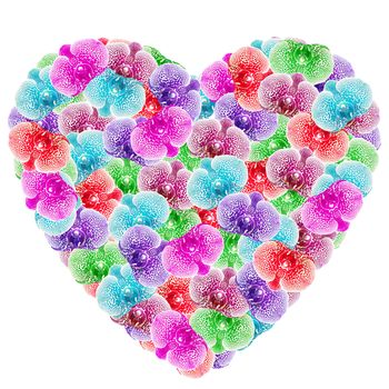 heart shape of colorful orchid flower on white background