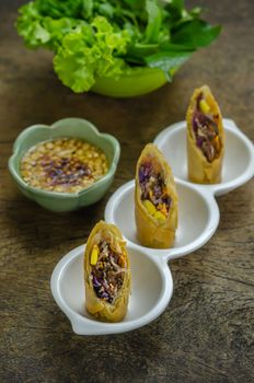 Fried Chinese Traditional Spring rolls food, asian cuisine